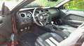 Ford Mustang USA 5.4 V8 Shelby GT500 Červená - thumbnail 3
