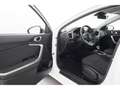 Kia Ceed SW / cee'd SW 1.4 Aut.Vision+NAVI+CARPLAY+KAMERA+SHZ Weiß - thumbnail 10