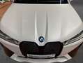 BMW iX xDrive40, AHK, Panoramadach, Laserlicht Weiß - thumbnail 9