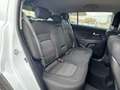 Kia Sportage 1.7CRDi Drive Blanc - thumbnail 14
