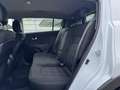 Kia Sportage 1.7CRDi Drive Blanc - thumbnail 13