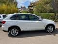 BMW X5 30 D xDrive * AHK * Weiß - thumbnail 3