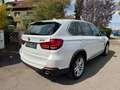 BMW X5 30 D xDrive * AHK * Weiß - thumbnail 17