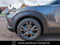 Mazda CX-30 2.0L e-SKYACTIV X 186 PS 6AT FWD Exclusive-Line Grau - thumbnail 13