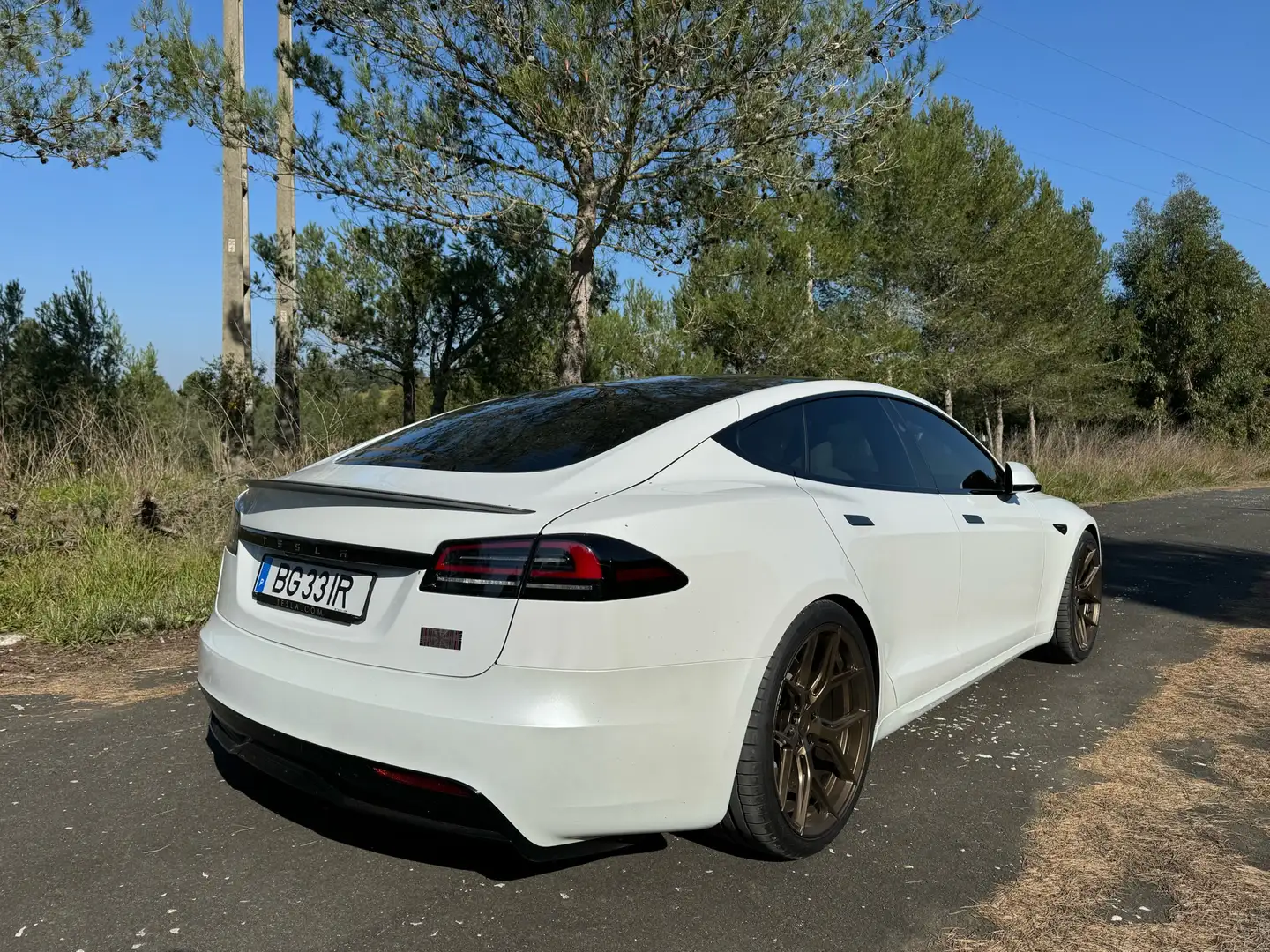 Tesla Model S Plaid Blanco - 2