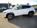 Hyundai TUCSON NX4 Prestige Line 1,6 T-GDi HEV 2WD AT + AHK Weiß - thumbnail 2