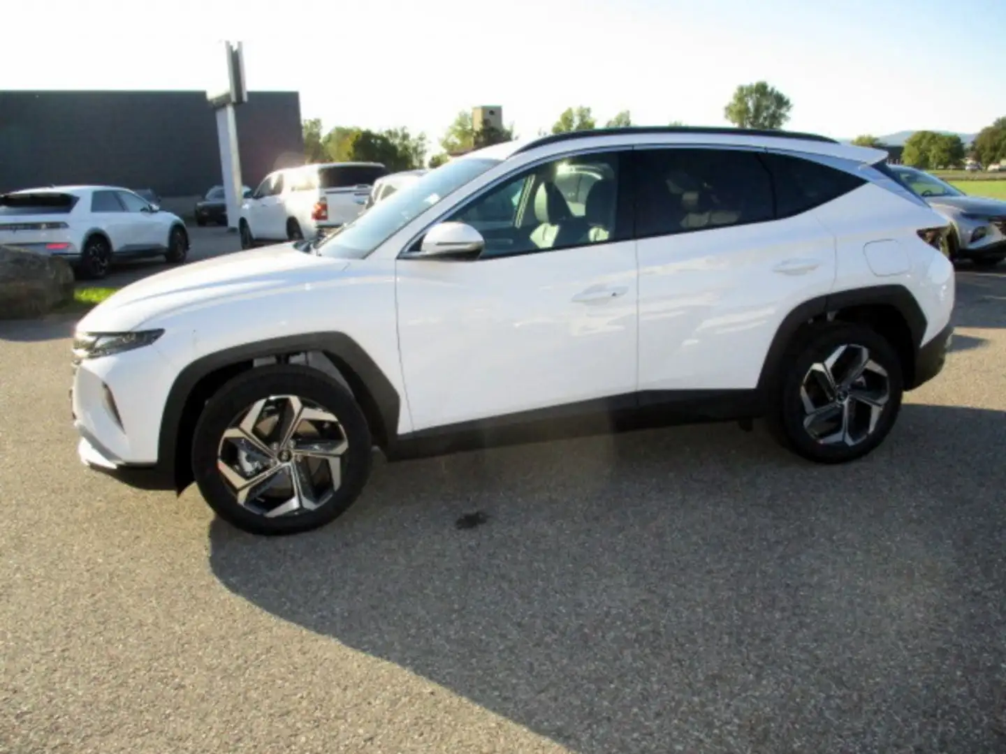 Hyundai TUCSON NX4 Prestige Line 1,6 T-GDi HEV 2WD AT + AHK Weiß - 2