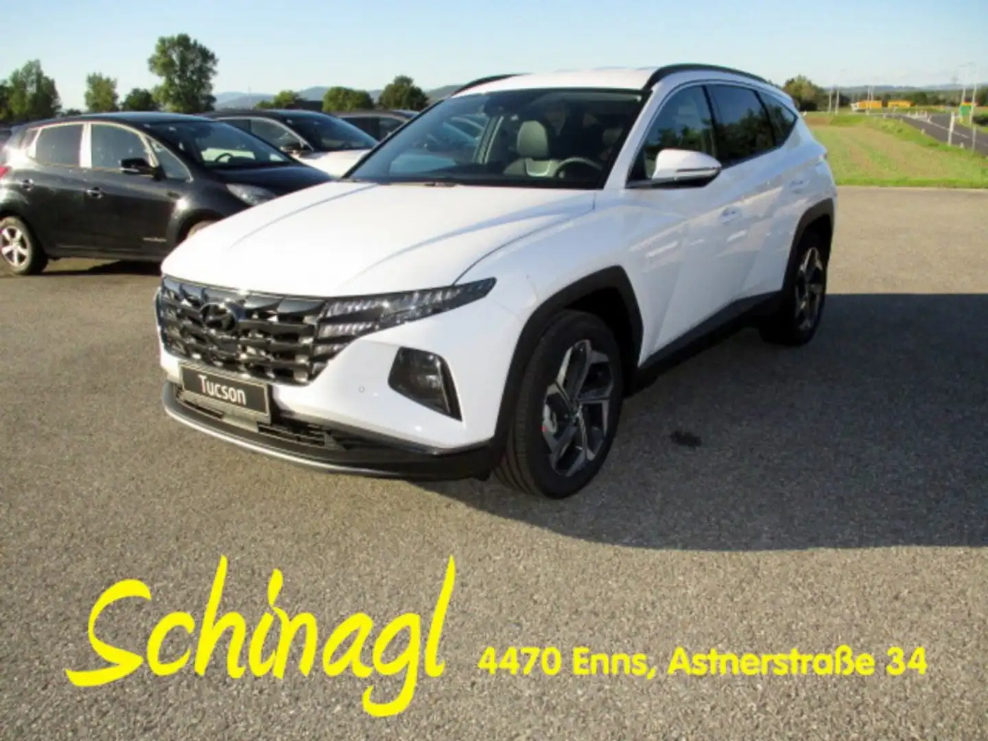 Hyundai TUCSON NX4 Prestige Line 1,6 T-GDi HEV 2WD AT + AHK Weiß - 1
