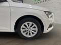 Skoda Scala 1.0 TSI 81KW (110CV) Active Blanc - thumbnail 10
