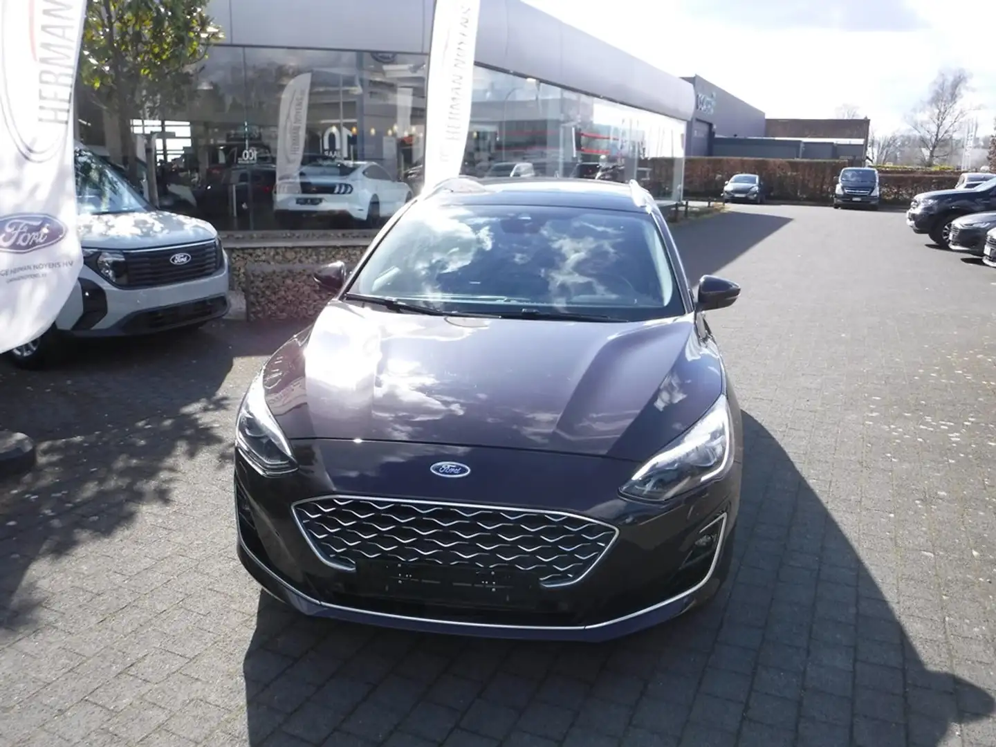 Ford Focus Vignale Clipper Paars - 2