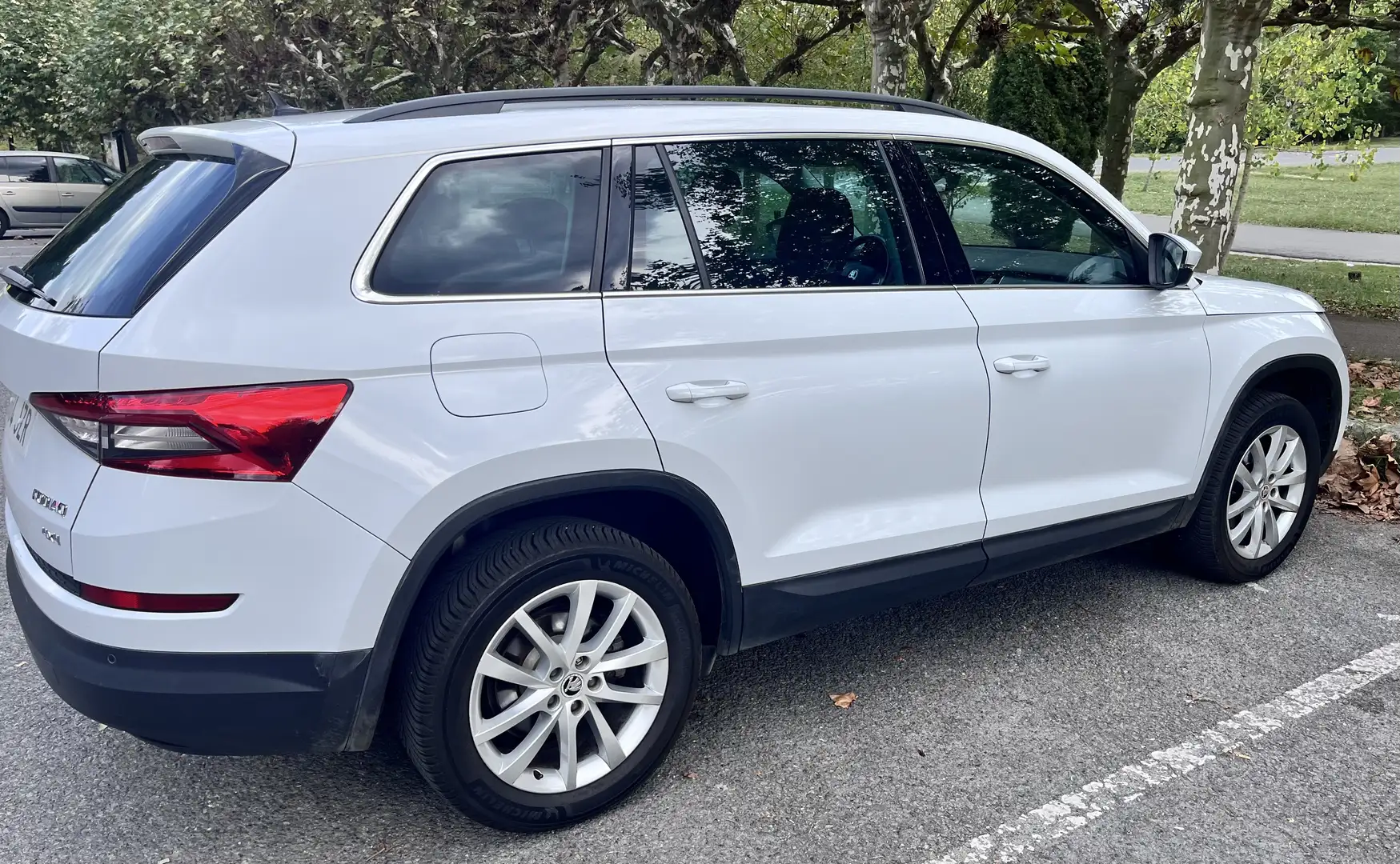 Skoda Kodiaq 2.0TDI AB tech Ambition 4x4 110kW - 2