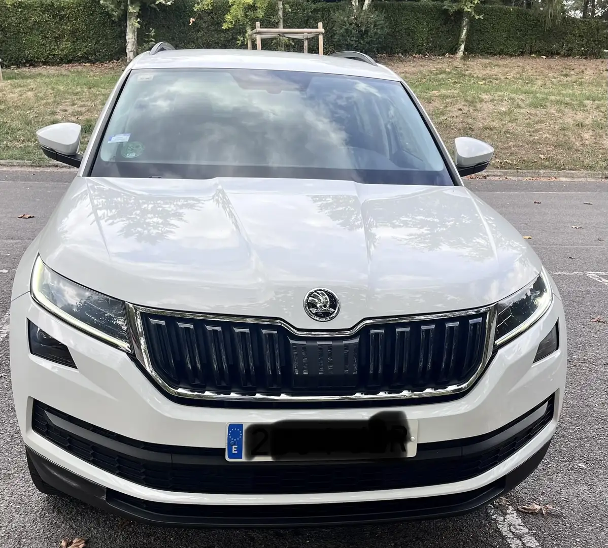 Skoda Kodiaq 2.0TDI AB tech Ambition 4x4 110kW - 1