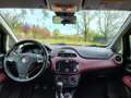 Fiat Punto Evo 5p 1.2 Dynamic 65cv - Tagliando e Distrib. 2024 Nero - thumbnail 5