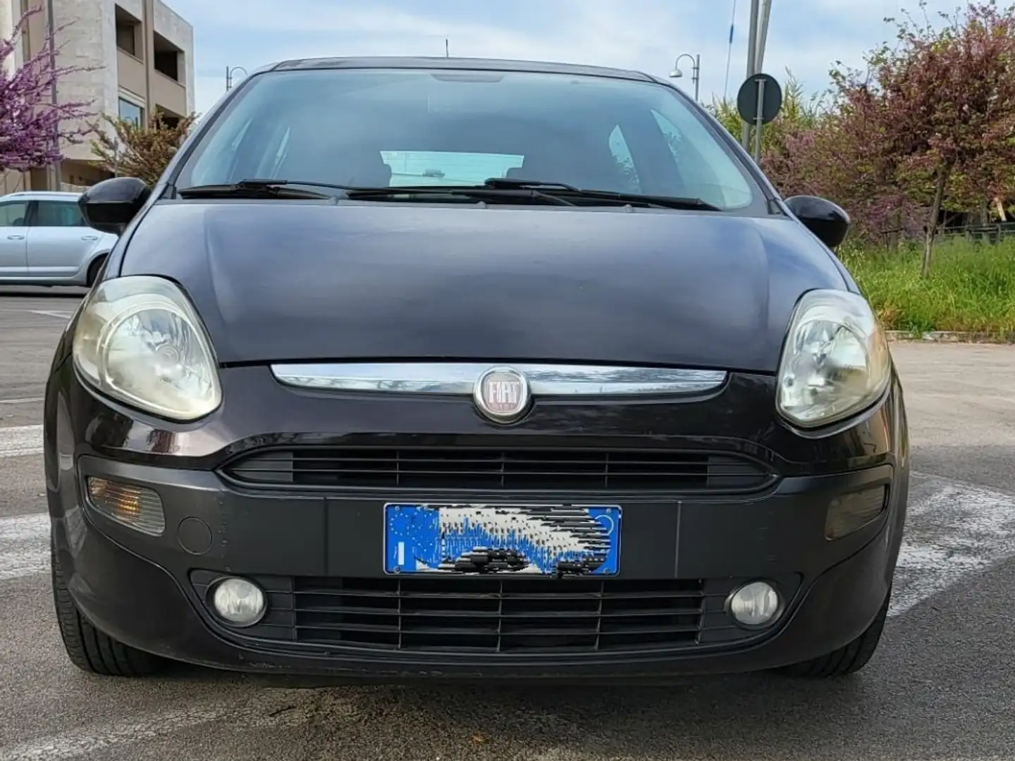 Fiat Punto Evo 5p 1.2 Dynamic 65cv - Tagliando e Distrib. 2024 Nero - 2