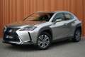 Lexus UX 300e Business 54kWh NL AUTO/GARANTIE El.stoelen ACC Cam Grey - thumbnail 8