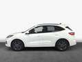 Ford Kuga 2.5 Duratec PHEV ST-LINE Blanco - thumbnail 5