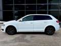 Audi A3 1.6 tdi Young Edition 90cv ADATTA NEOPATENTATI Blanc - thumbnail 7