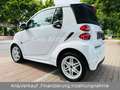 smart forTwo Cabrio Passion KLIMA/1.HAND/SITZH/BRABUS Weiß - thumbnail 5