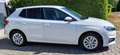 Skoda Fabia Style DSG SHZ PDC Wit - thumbnail 5