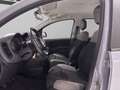Fiat New Panda - Panda 1.0 firefly hybrid City Life s&s 70cv Gris - thumbnail 13