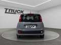 Fiat New Panda - Panda 1.0 firefly hybrid City Life s&s 70cv Gris - thumbnail 5