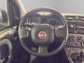 Fiat New Panda - Panda 1.0 firefly hybrid City Life s&s 70cv Gris - thumbnail 10