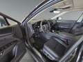 Lexus NX 350h Executive +Leder+360Kamera+Pano+CarPlay+ Nero - thumbnail 10