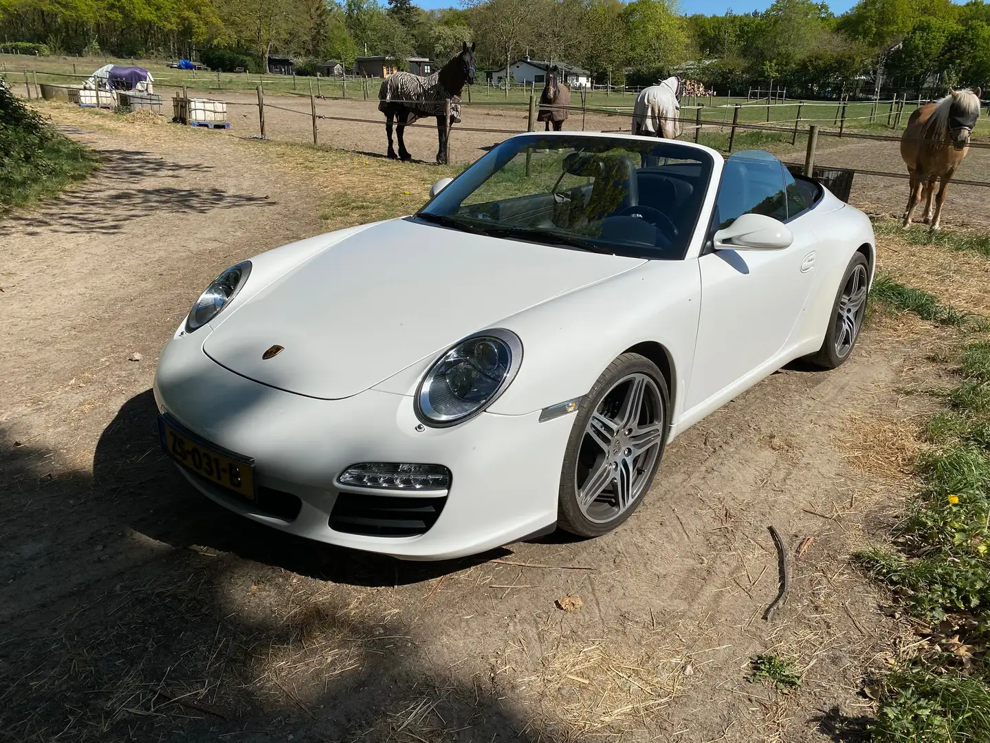 Porsche 911 3.6 Carrera Wit - 2