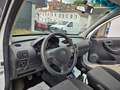 Opel Combo Kombi Business 111 Jahre,Klima,2-Hand,Tuv- Weiß - thumbnail 14