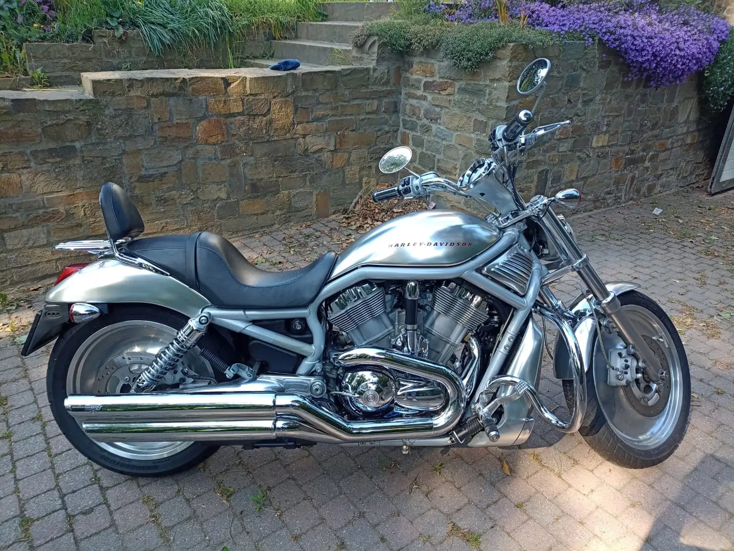 Harley-Davidson V-Rod Argent - 1