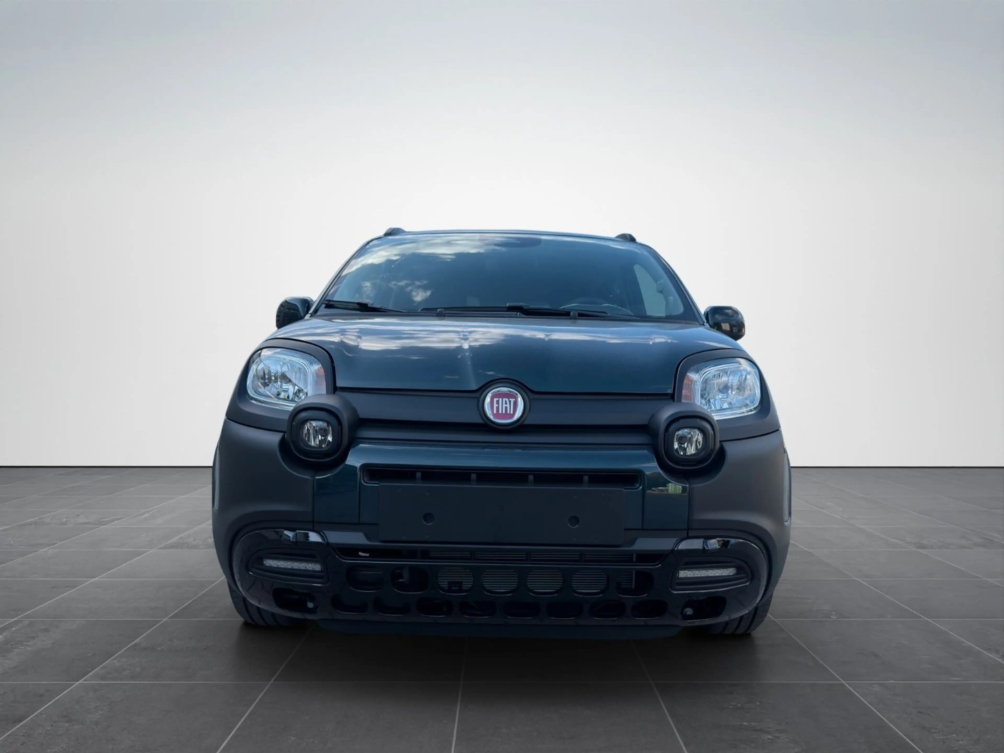 Fiat Panda Pandina Cross 1.0/PDC H/ 7" BildS/PDC H/ — photo 2