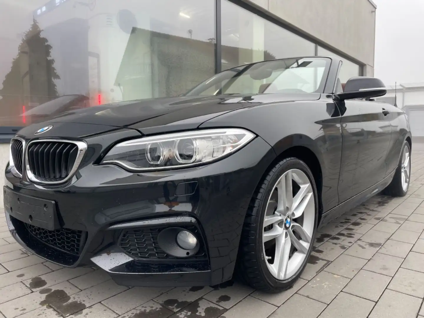 BMW 218 i Cabrio Navi Leder Xenon PDC M Paket Schwarz - 1