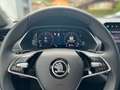 Skoda Octavia Combi 2.0 TDI Selection *MATRIX*KAMERA*NAVI* Grijs - thumbnail 11