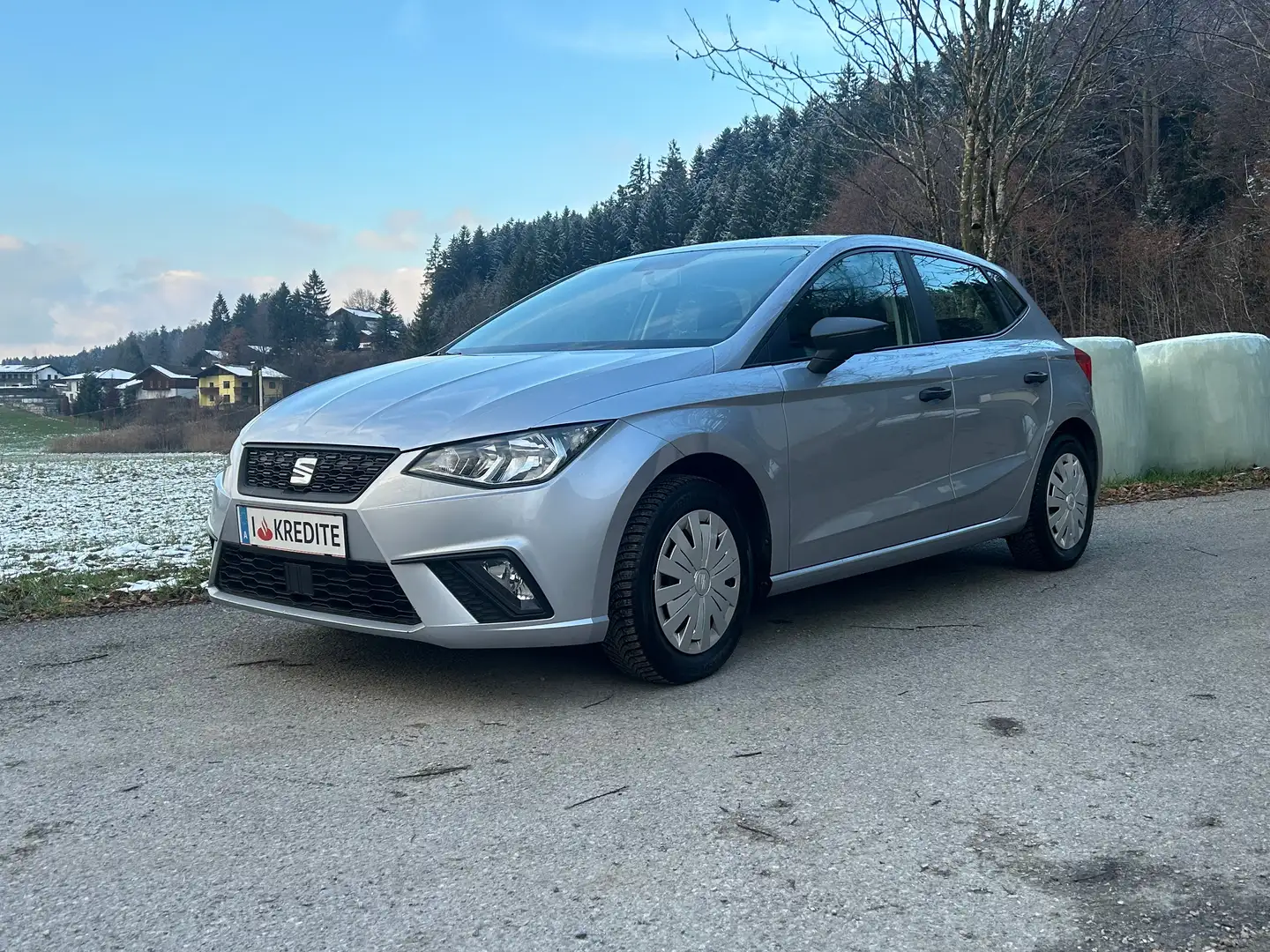SEAT Ibiza 8fach Bereift & möglicher SOFORTFINANZIERUNG !! Silber - 1