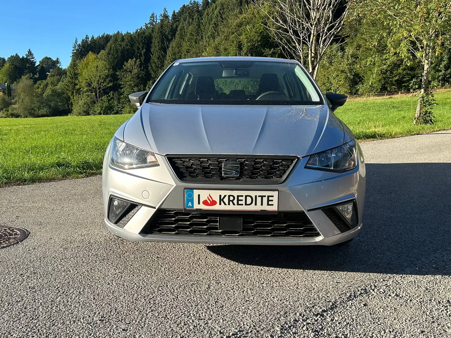 SEAT Ibiza 8fach Bereift & möglicher SOFORTFINANZIERUNG !! Silber - 2