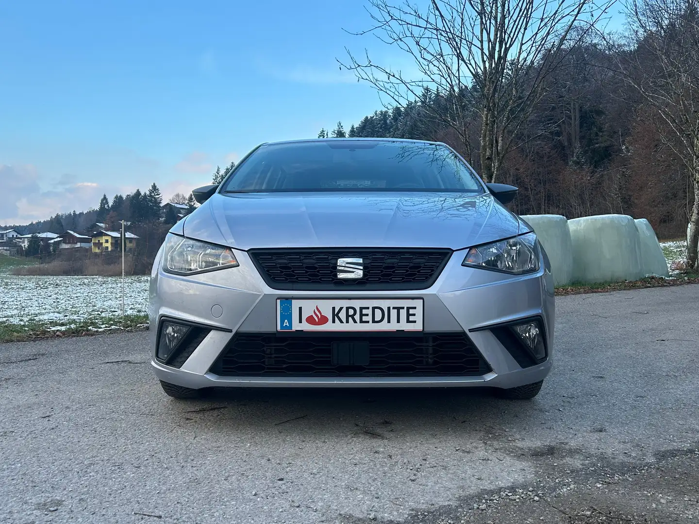 SEAT Ibiza 8fach Bereift & möglicher SOFORTFINANZIERUNG !! Silber - 2
