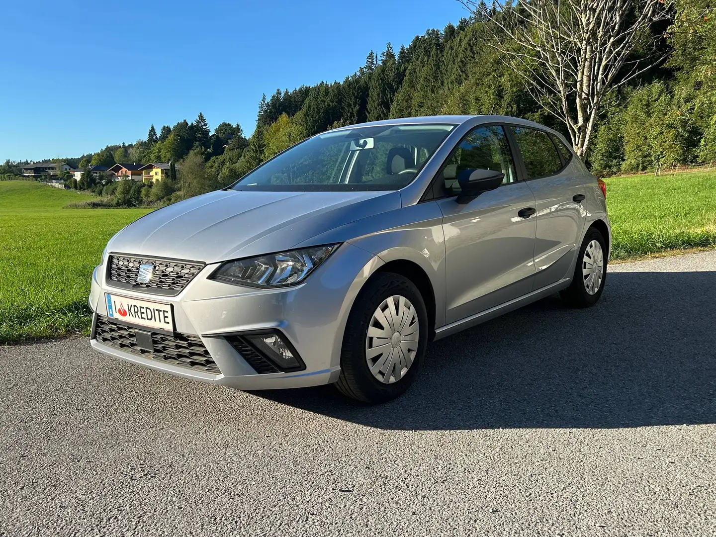 SEAT Ibiza 8fach Bereift & möglicher SOFORTFINANZIERUNG !! Silber - 1