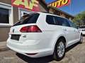 Volkswagen Golf Variant Rabbit 1,6 TDI 4Motion Weiß - thumbnail 4