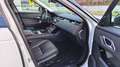Land Rover Range Rover Velar 3,0 V6 Twinturbo Allrad Aut. Weiß - thumbnail 12