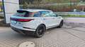 Land Rover Range Rover Velar 3,0 V6 Twinturbo Allrad Aut. Weiß - thumbnail 10