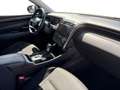 Hyundai TUCSON III 2021 1.6 crdi 48V Exellence 2wd dct Grigio - thumbnail 19