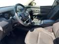 Hyundai TUCSON III 2021 1.6 crdi 48V Exellence 2wd dct Grigio - thumbnail 20