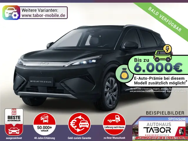 BYD Sonstige