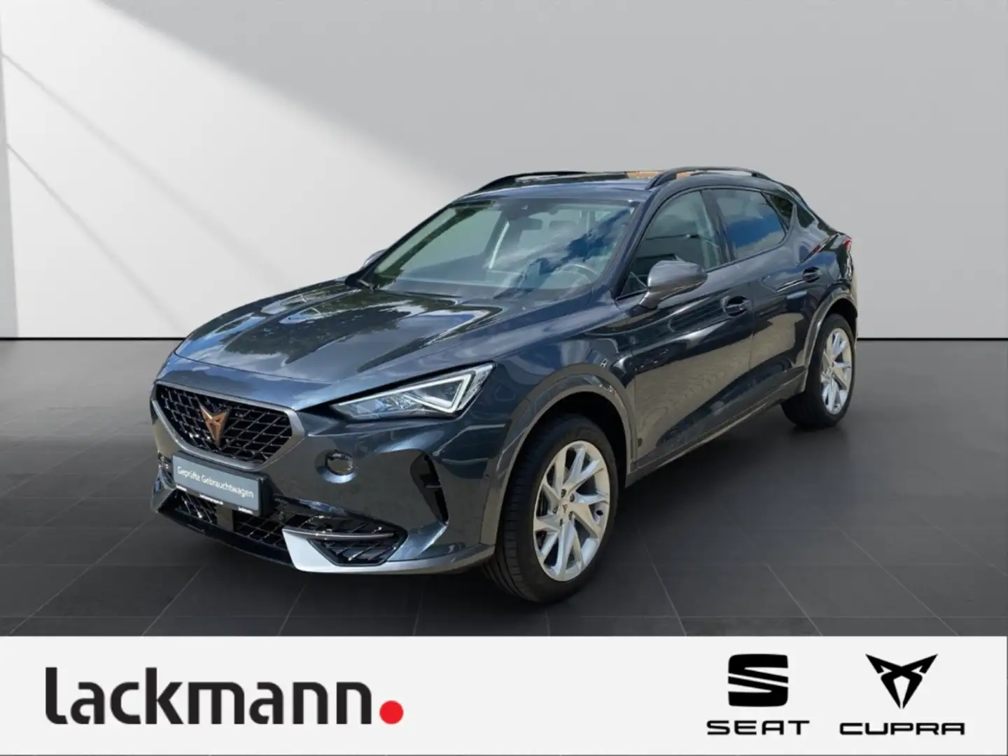 CUPRA Formentor 1.5 Basis *Navi*Voll-LED*Winterpaket* Grau - 1