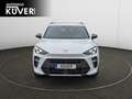 CUPRA Terramar 1,5 TSI DSG ACC+Matrix+Shzg+PDC+Carplay Weiß - thumbnail 2