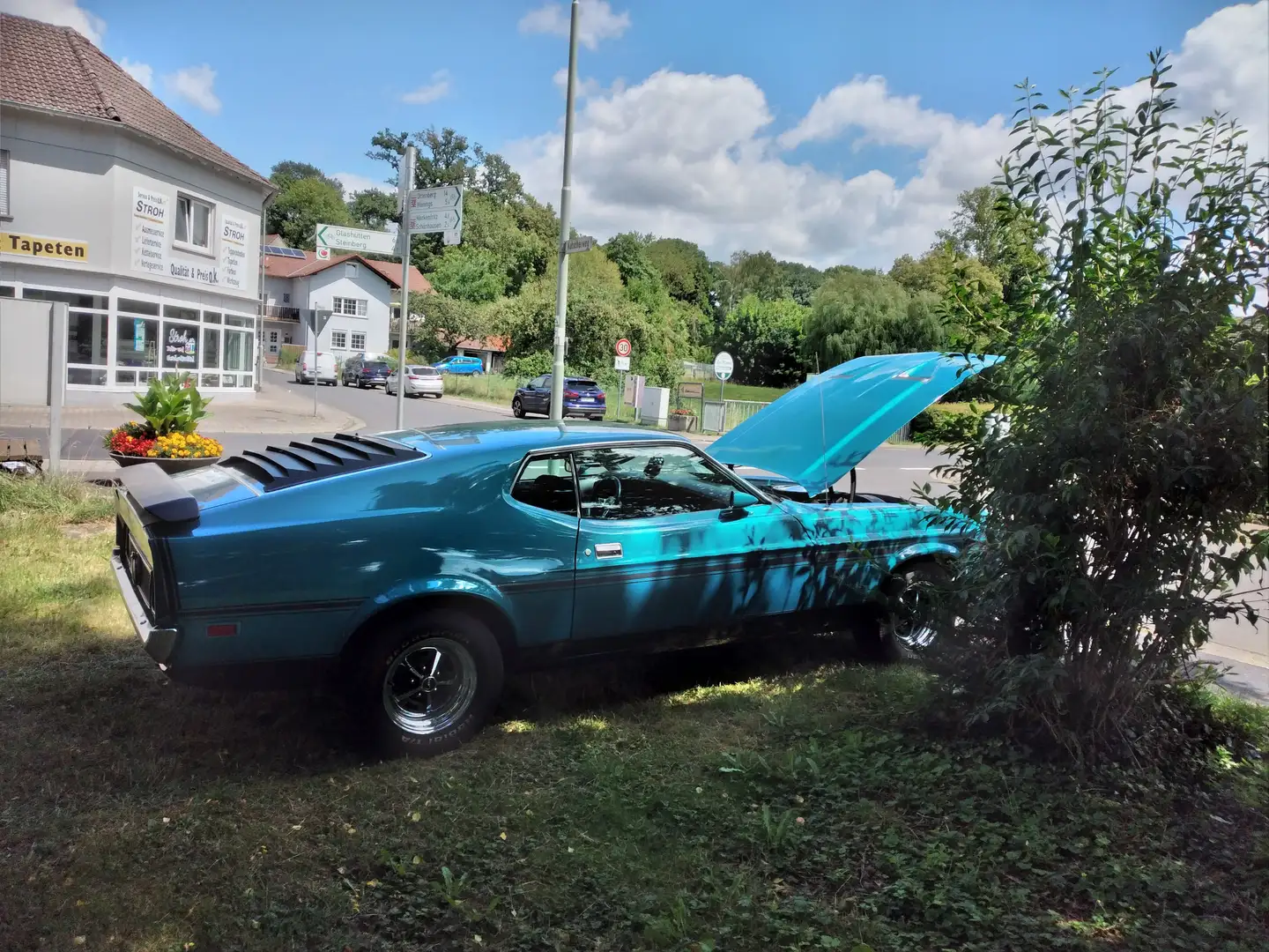 Ford Mustang Fastback Mach1 Vert - 1
