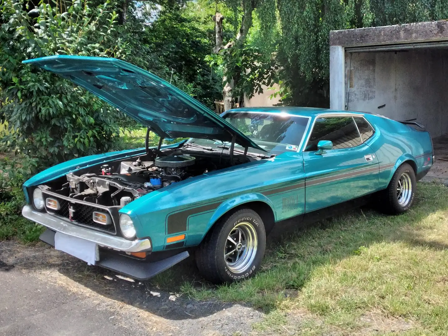 Ford Mustang Fastback Mach1 Vert - 2
