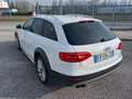 Audi A4 allroad A4 Allroad 2.0 tdi Business 177cv S-tronic Білий - thumbnail 7