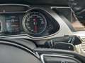 Audi A4 allroad A4 Allroad 2.0 tdi Business 177cv S-tronic Bianco - thumbnail 12