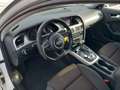 Audi A4 allroad A4 Allroad 2.0 tdi Business 177cv S-tronic bijela - thumbnail 14